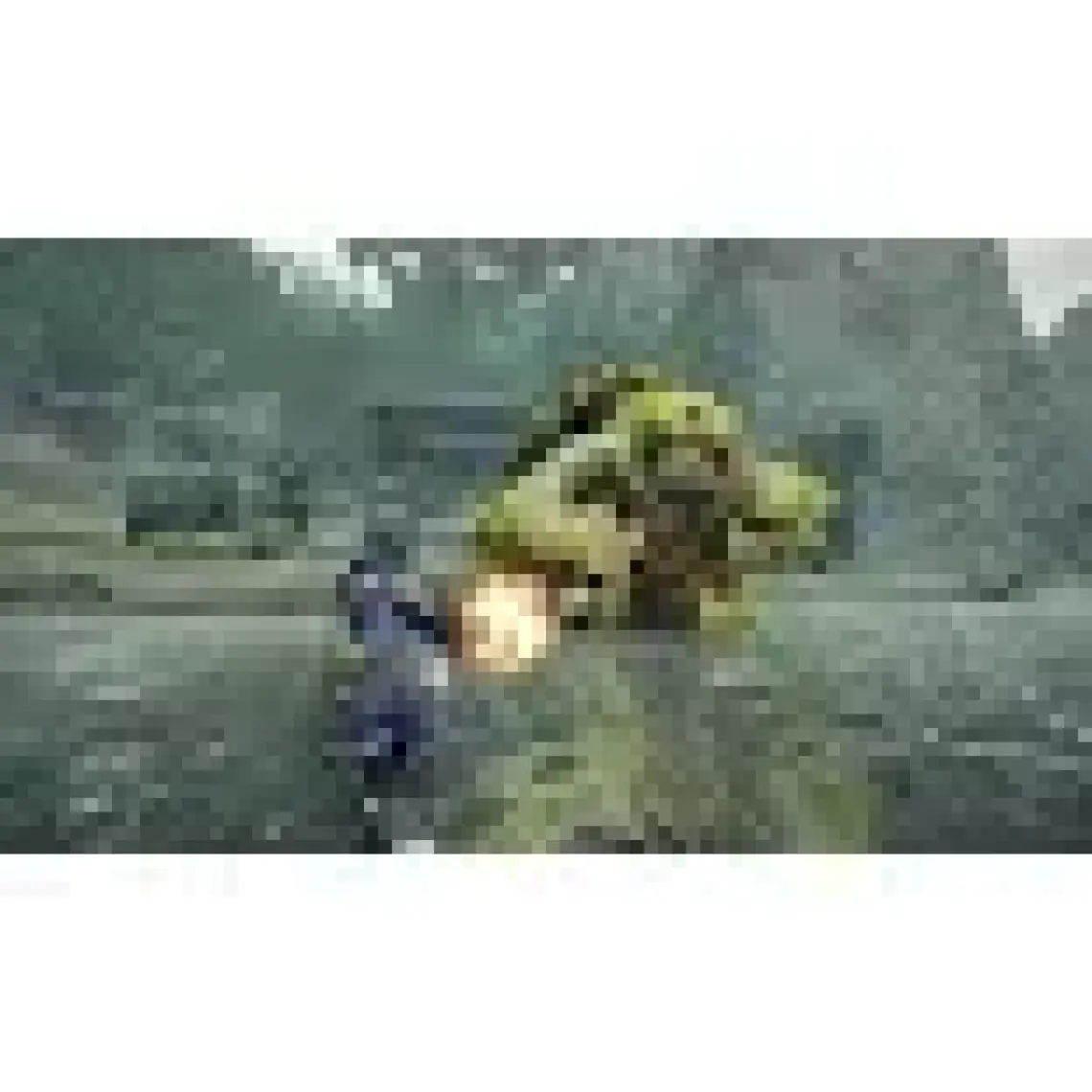Capcom Monster Hunter Rise Nintendo Switch
