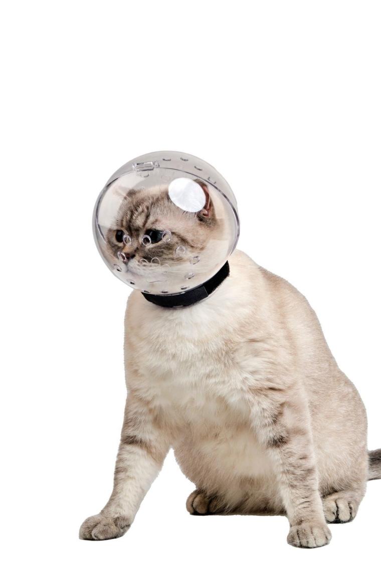 Kedi Bakım Küresi Kedi Anti Yalama Isırma