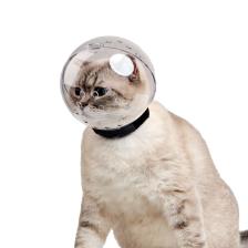 Kedi Bakım Küresi Kedi Anti Yalama Isırma