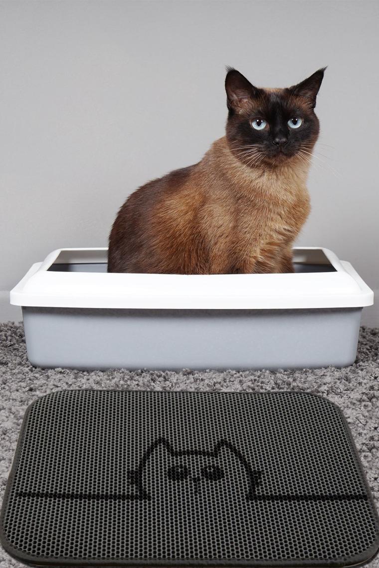 Hide Kedi Kumu Paspası Gri Elekli Tuvalet Önü Paspası