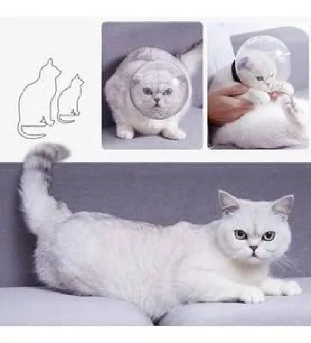 Kedi Bakım Küresi Kedi Anti Yalama Isırma