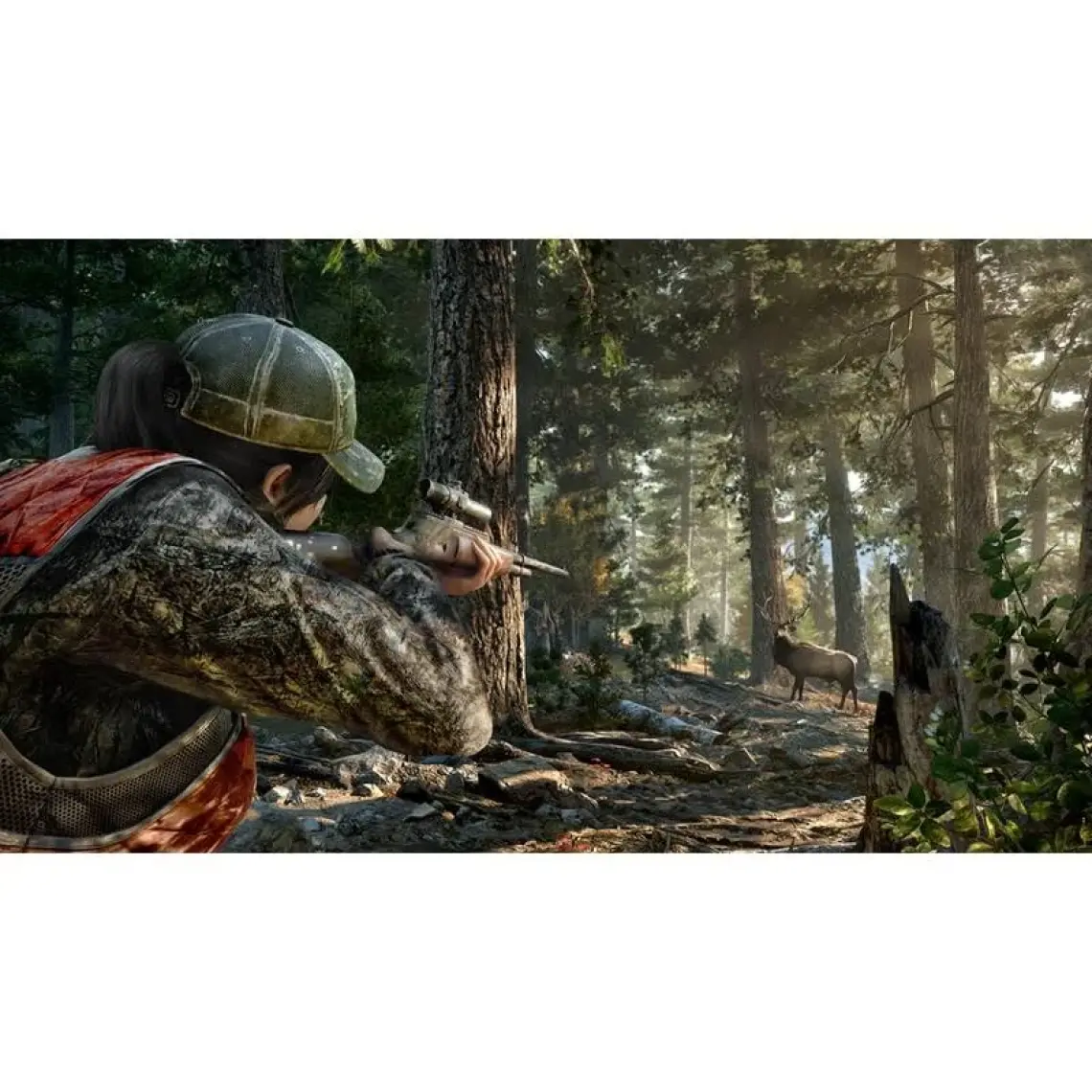 Far Cry 5 PS4 Oyun