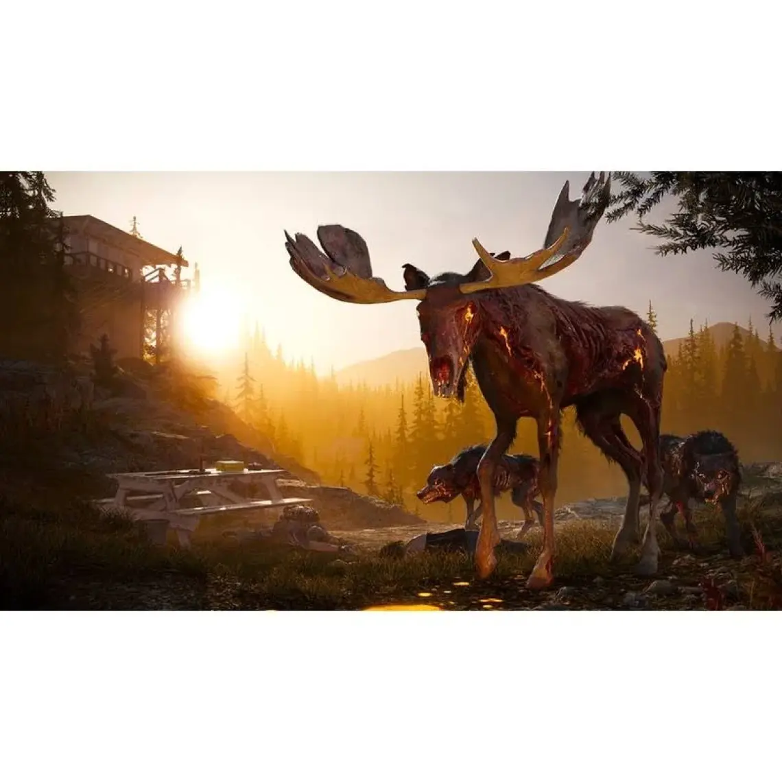 Far Cry 5 PS4 Oyun
