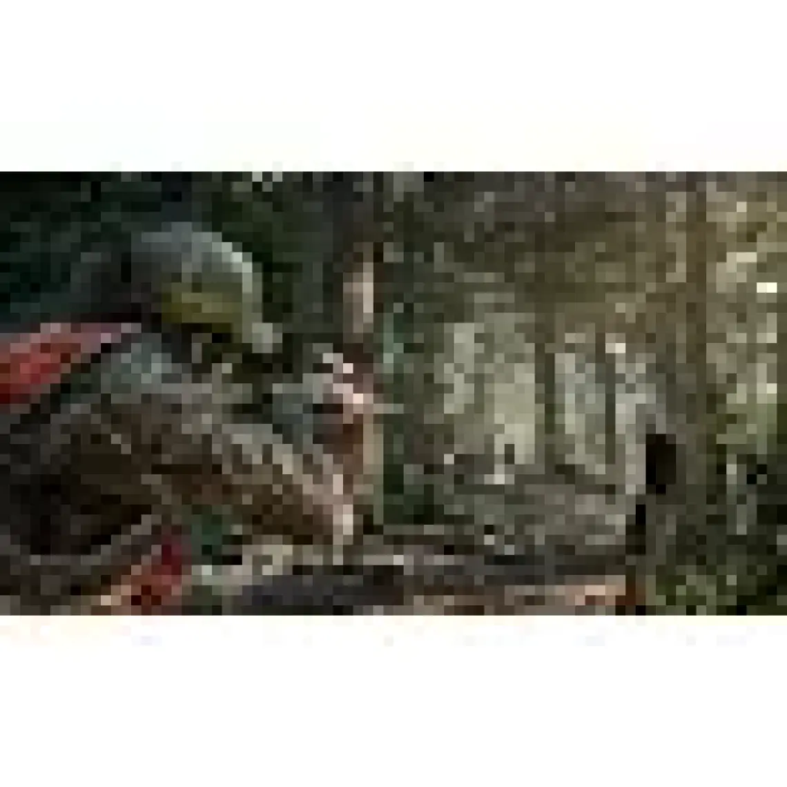 Far Cry 5 PS4 Oyun