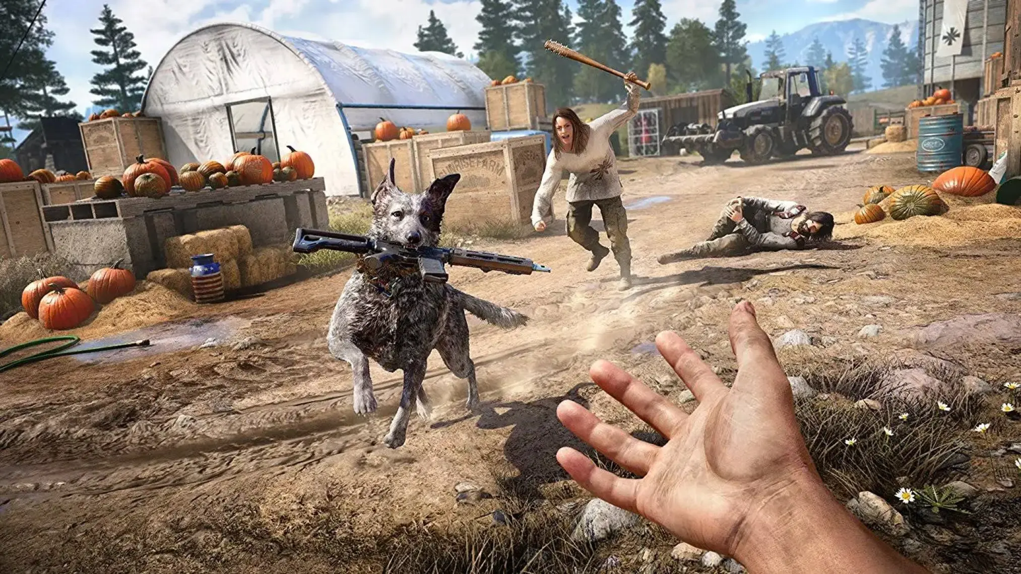 Far Cry 5 PS4 Oyun