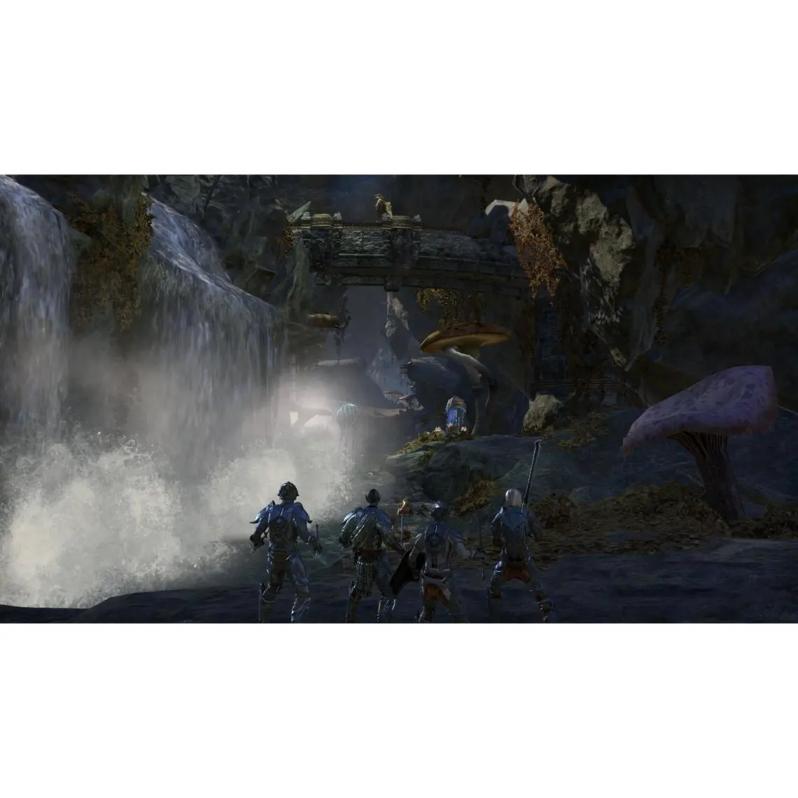 The Elder Scrolls Online Morrowind PS4 Oyun