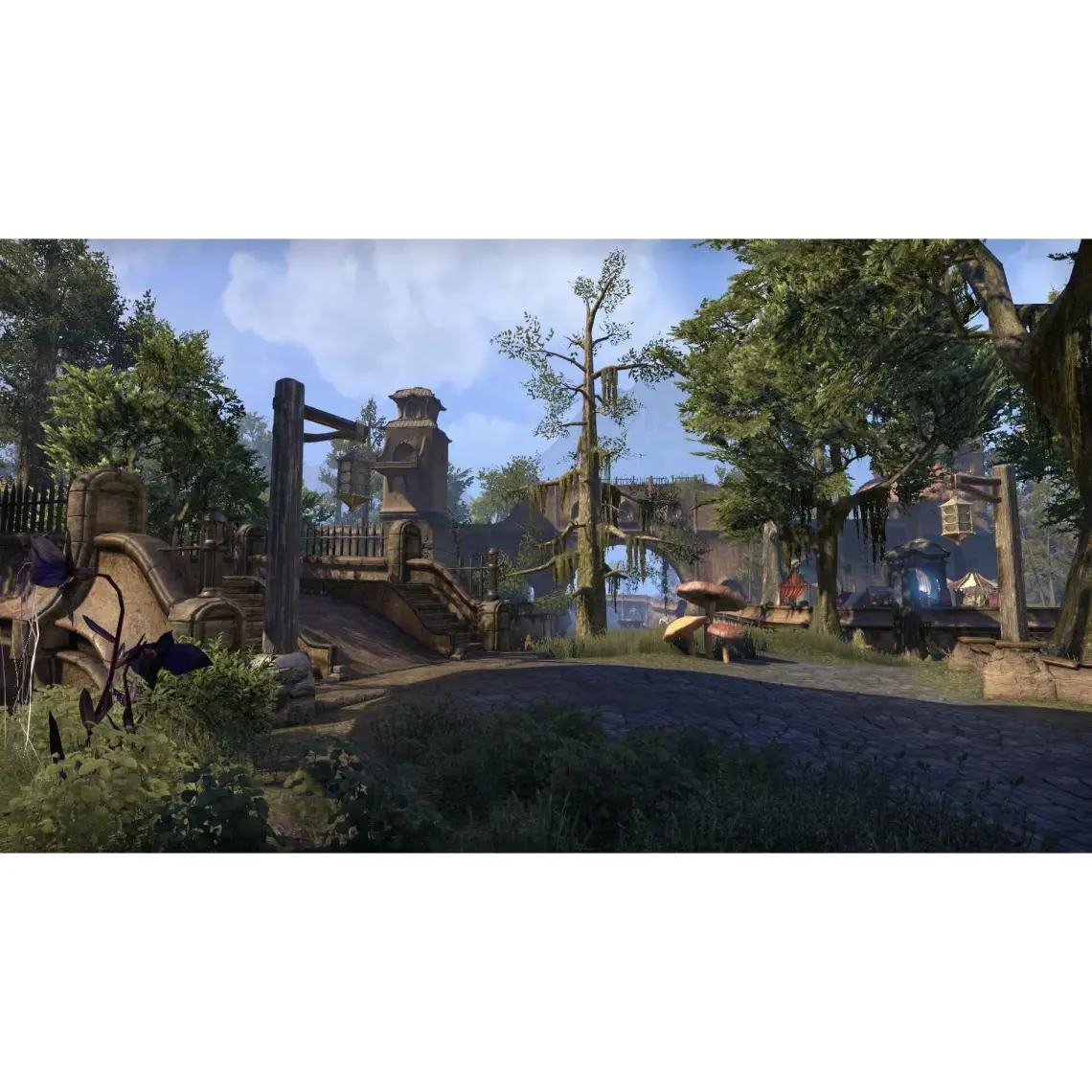 The Elder Scrolls Online Morrowind PS4 Oyun