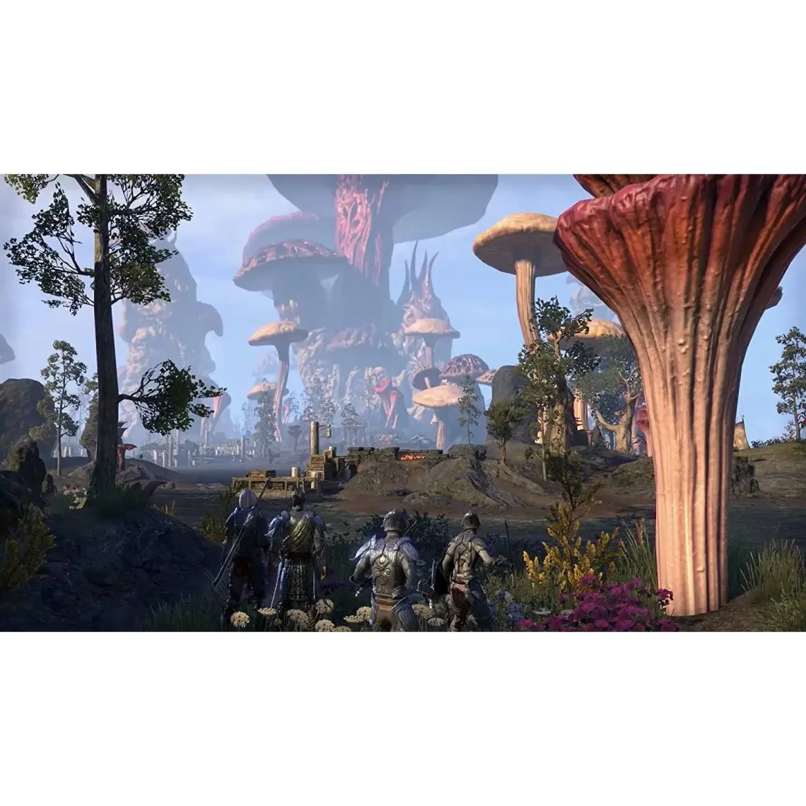 The Elder Scrolls Online Morrowind PS4 Oyun