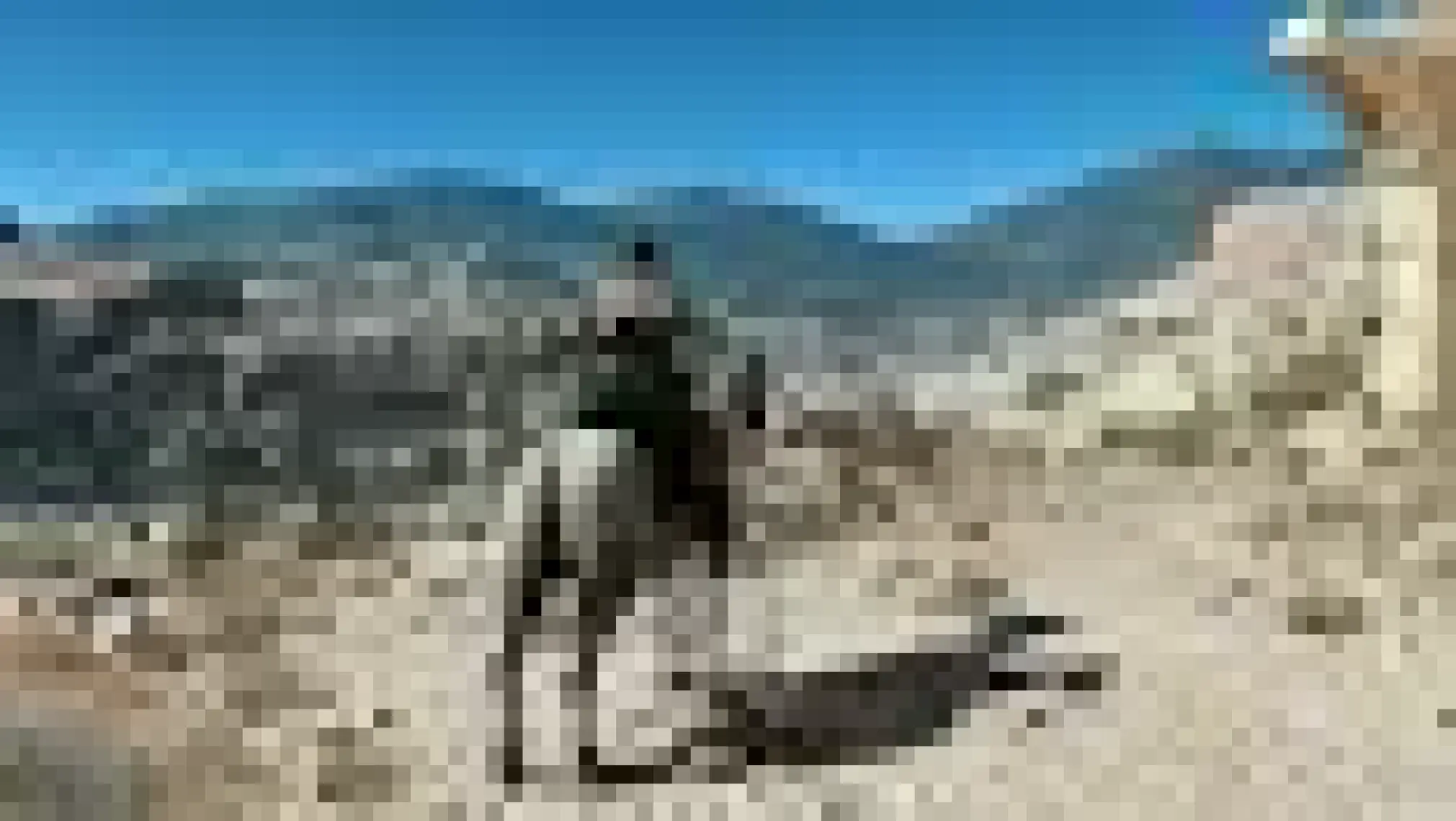 Metal Gear Solid V The Definitive Edition PS4