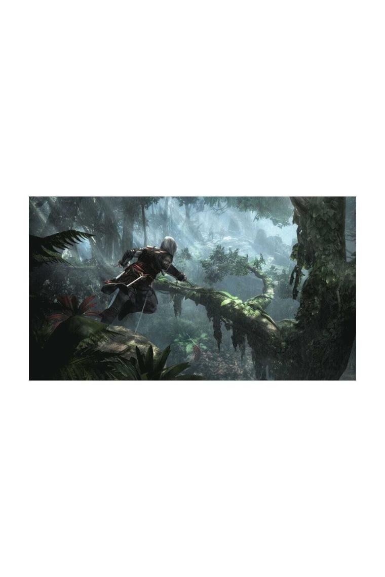 Assassins Creed IV Black Flag PS4