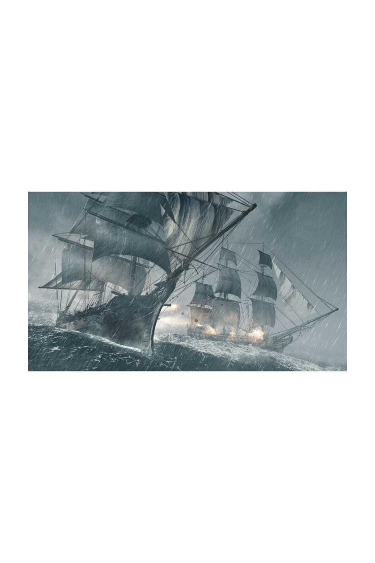Assassins Creed IV Black Flag PS4