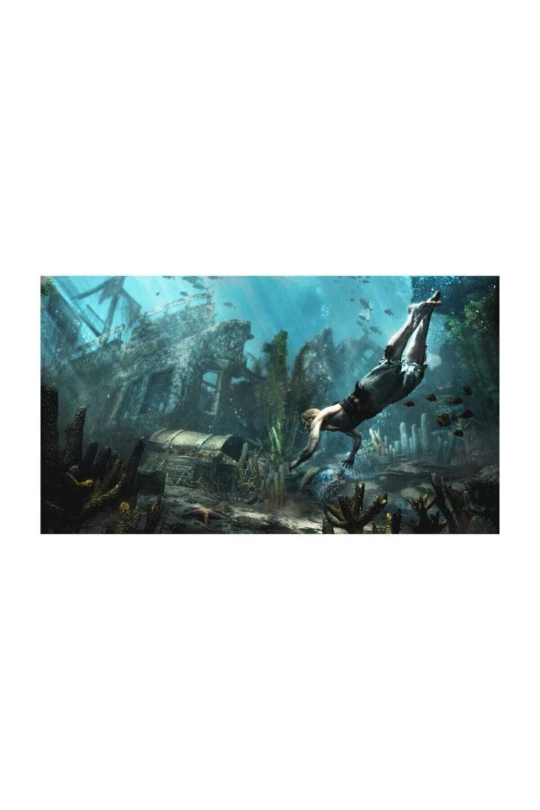 Assassins Creed IV Black Flag PS4