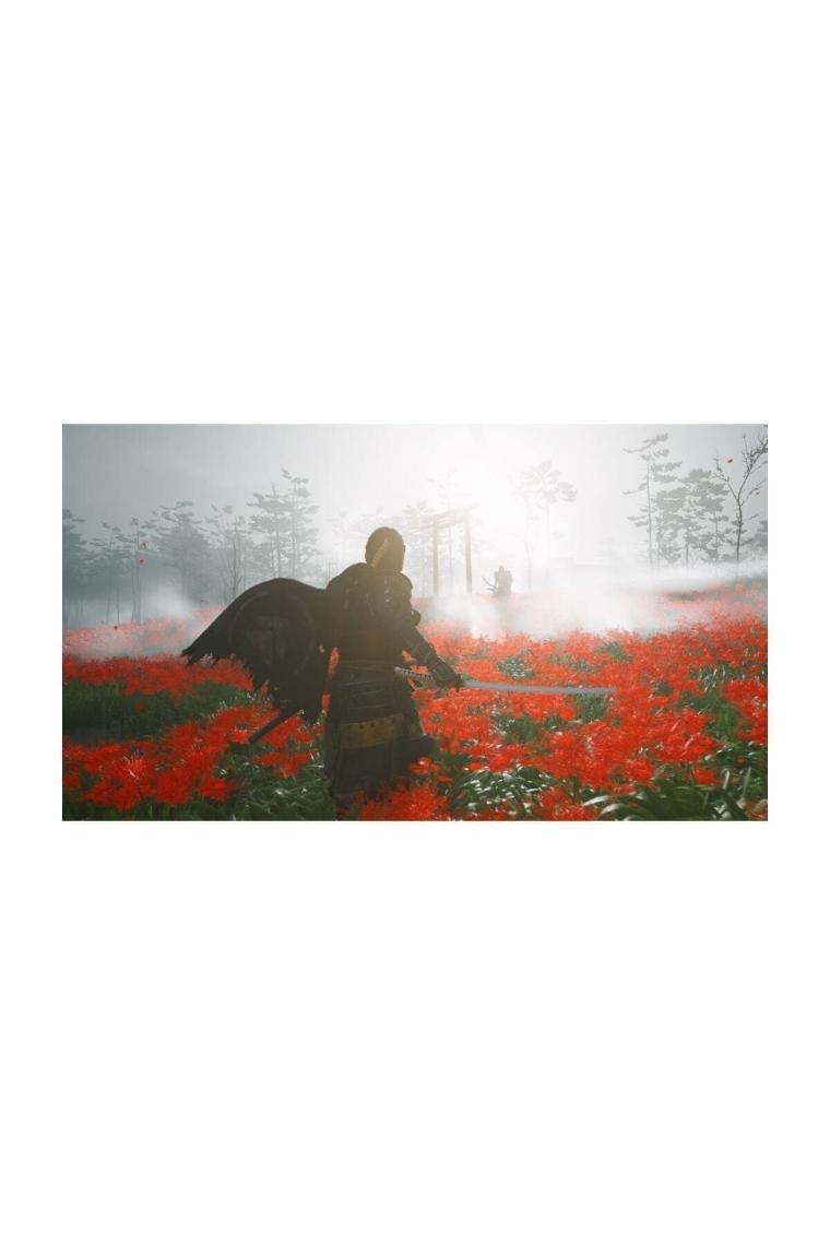 Ps4 Ghost Of Tsushima