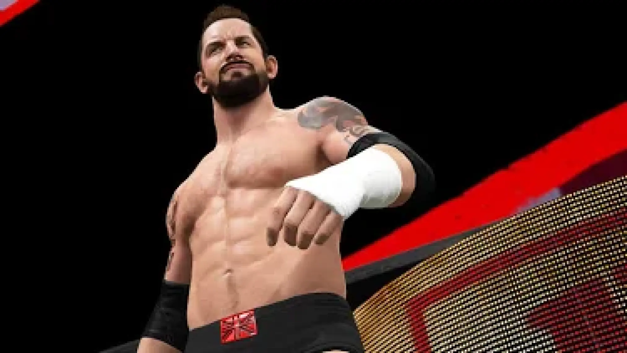 Wwe 2K16  PS4 Oyun