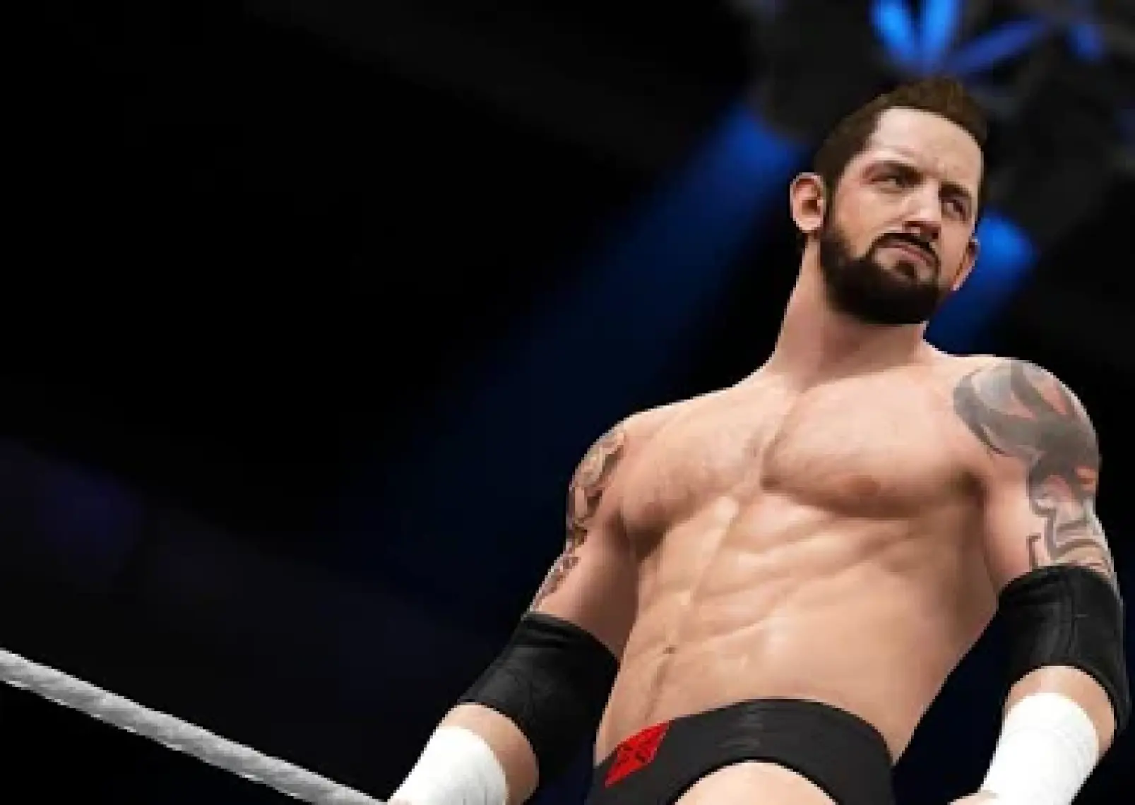 Wwe 2K16  PS4 Oyun
