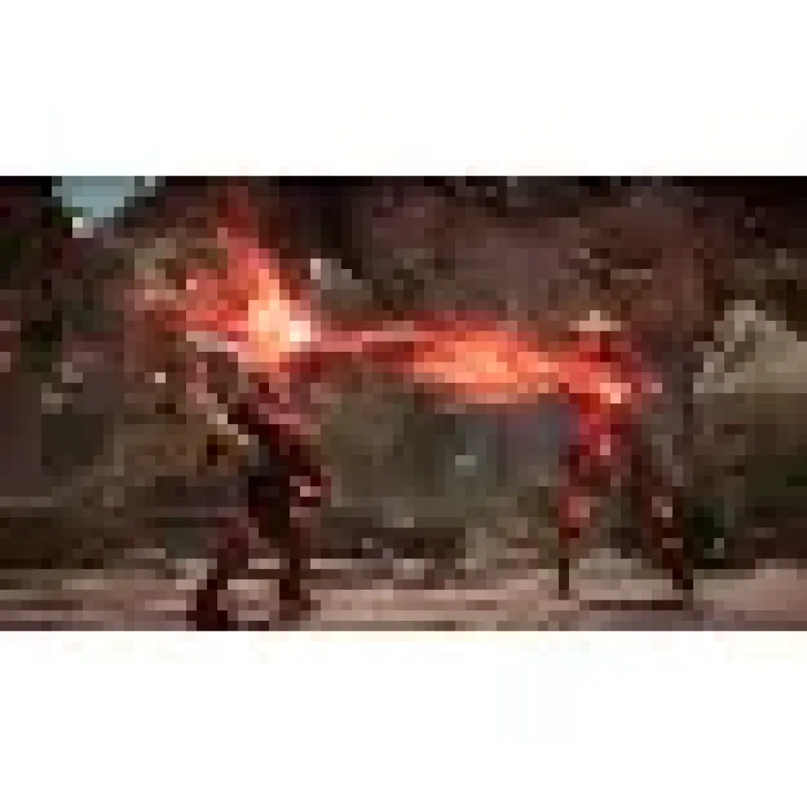 Mortal Kombat II Ps4 Oyun