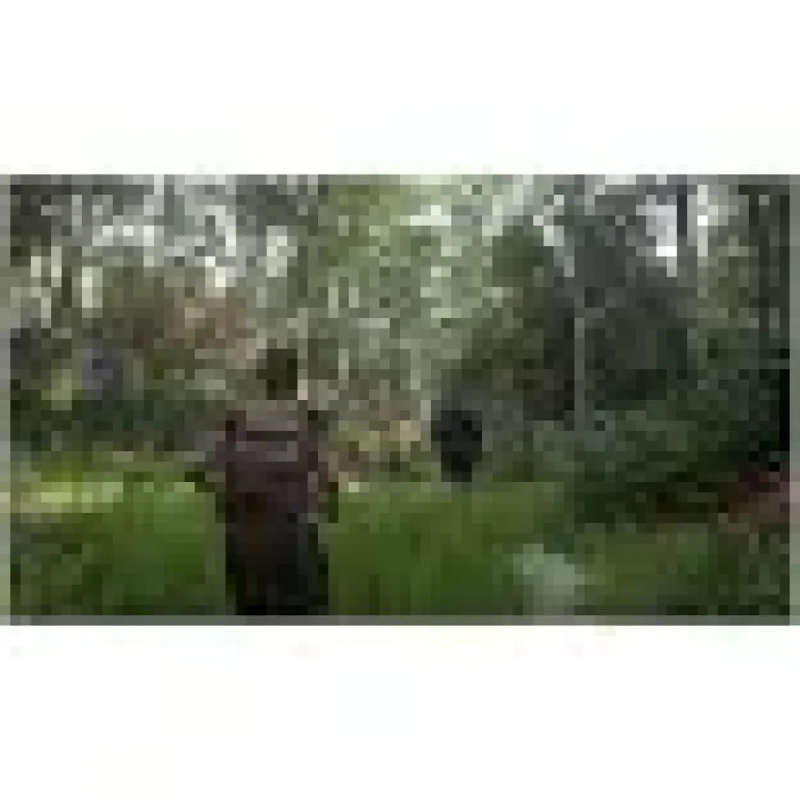 Sony The Last Of Us Part Iı Remastered Ps5