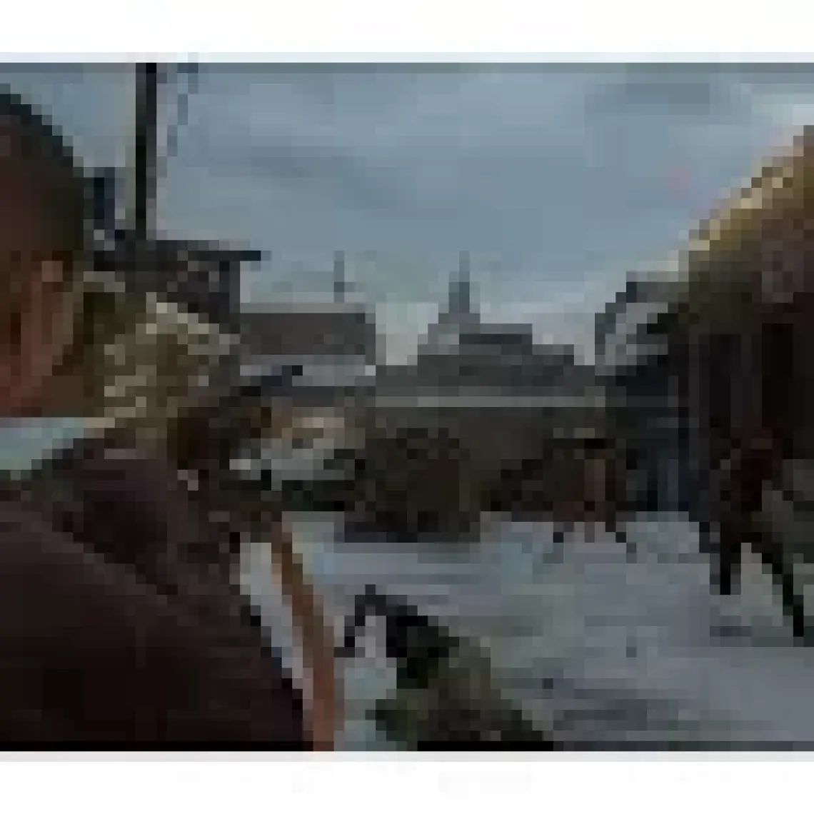 Sony The Last Of Us Part Iı Remastered Ps5