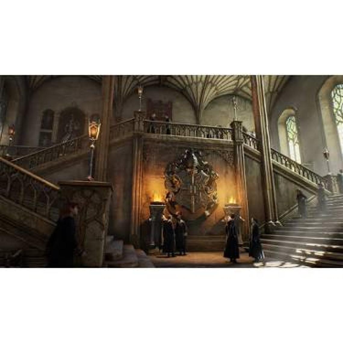 Warner Bros Hogwarts Legacy Standard Edition Ps5 Oyun