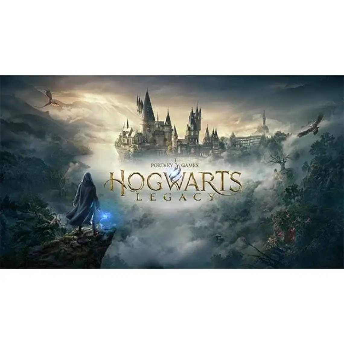 Warner Bros Hogwarts Legacy Standard Edition Ps5 Oyun