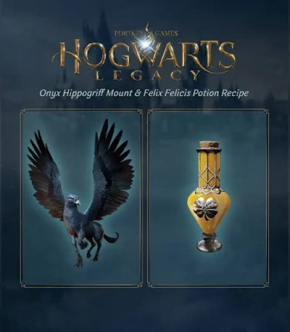 Warner Bros Hogwarts Legacy Standard Edition Ps5 Oyun