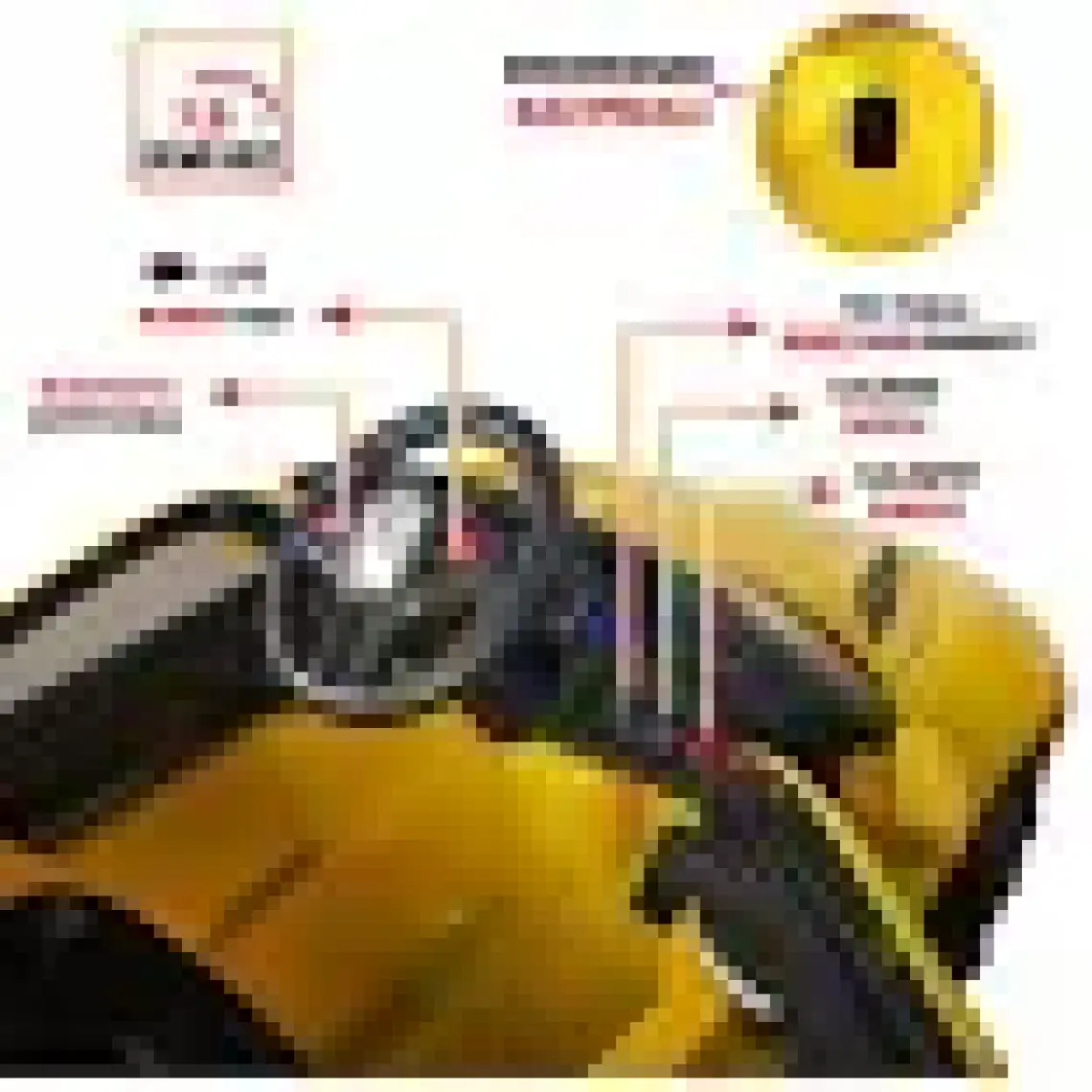 Uj Toys Jagor Akülü Araba 12V-SARI