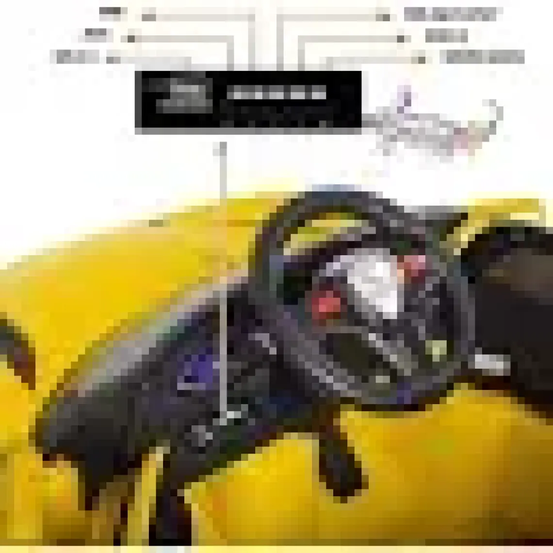 Uj Toys Jagor Akülü Araba 12V-SARI