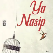 Ya Nasip