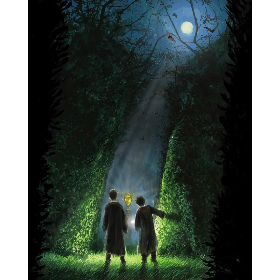 Harry Potter And The Goblet Of Fire: Illustrated Edition - J. K. Rowling