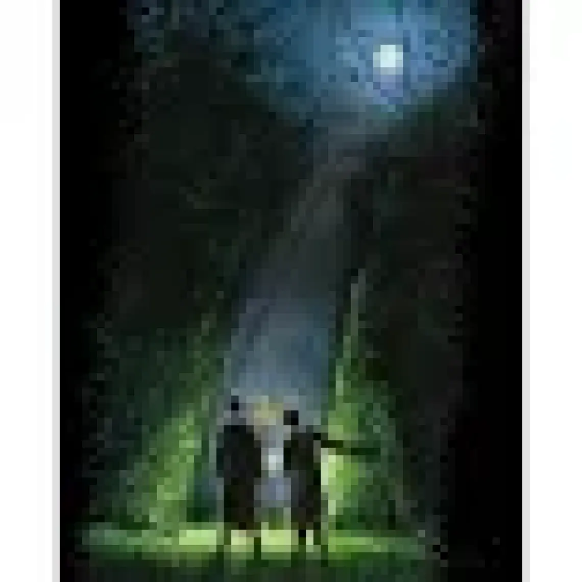 Harry Potter And The Goblet Of Fire: Illustrated Edition - J. K. Rowling