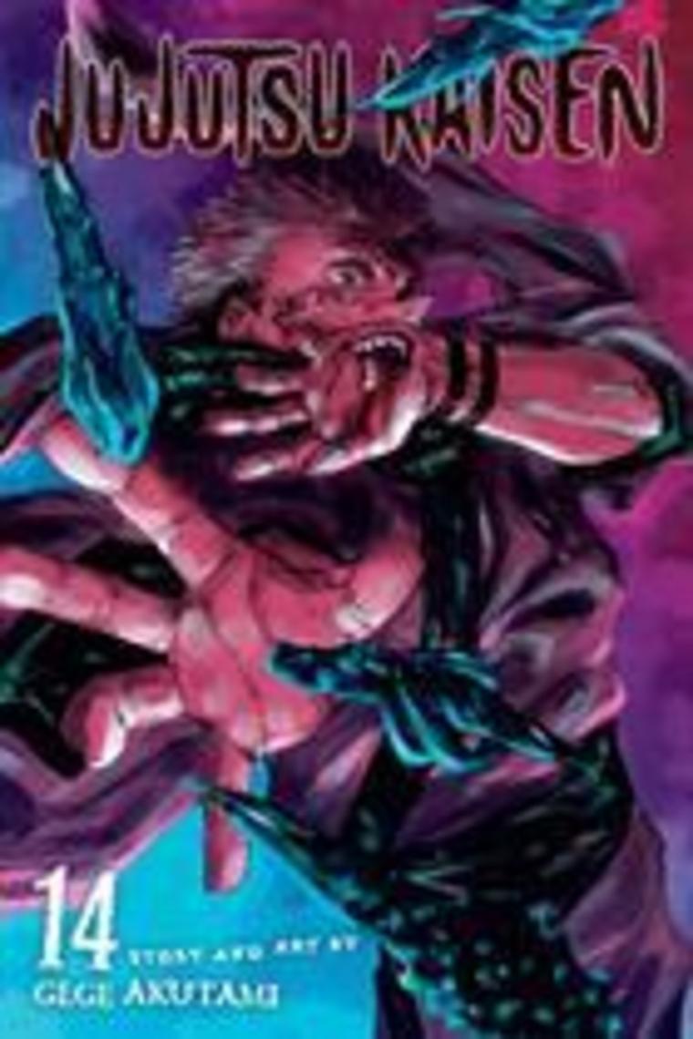 Viz Media Jujutsu Kaisen 14