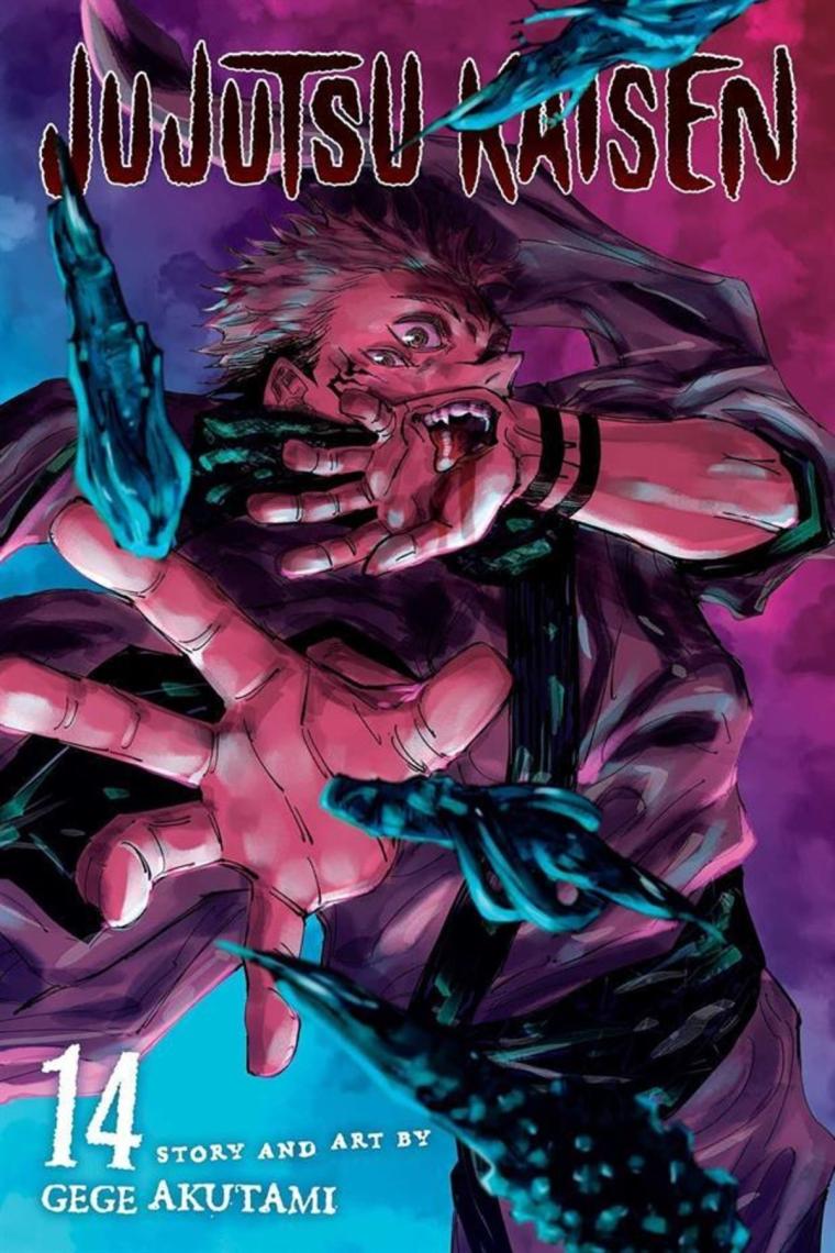 Viz Media Jujutsu Kaisen 14