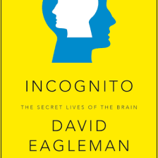 Incognito  - David Eagleman