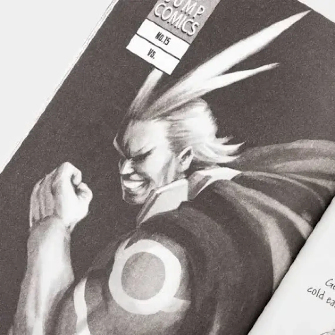 Viz Media My Hero Academia 2  - Kohei Horikoshi
