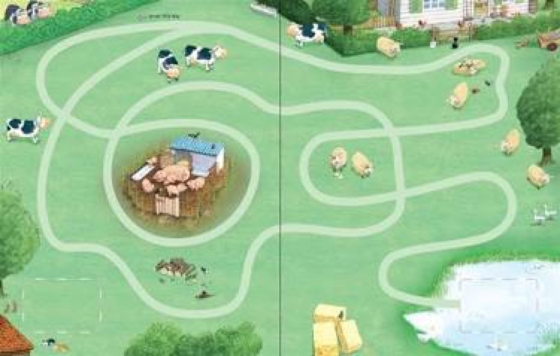 Wind Up Tractor Book - Stephen Cartwright