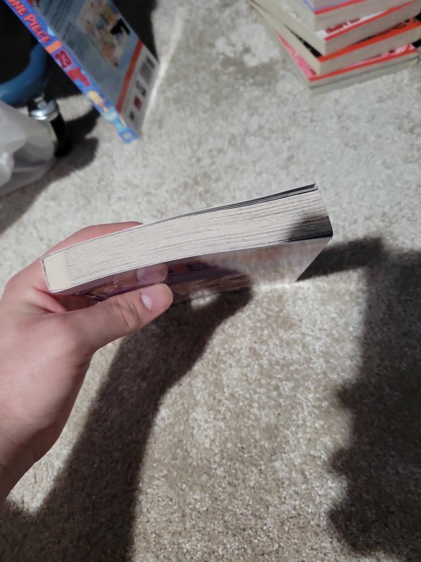 Viz Media One Piece 22  - Eiichiro Oda