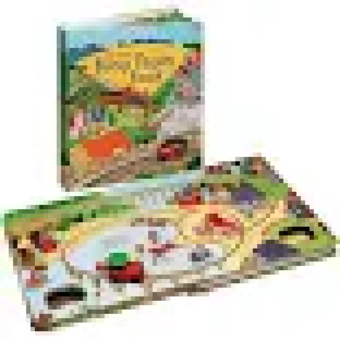 Usborne Pull-back: Busy Train Book