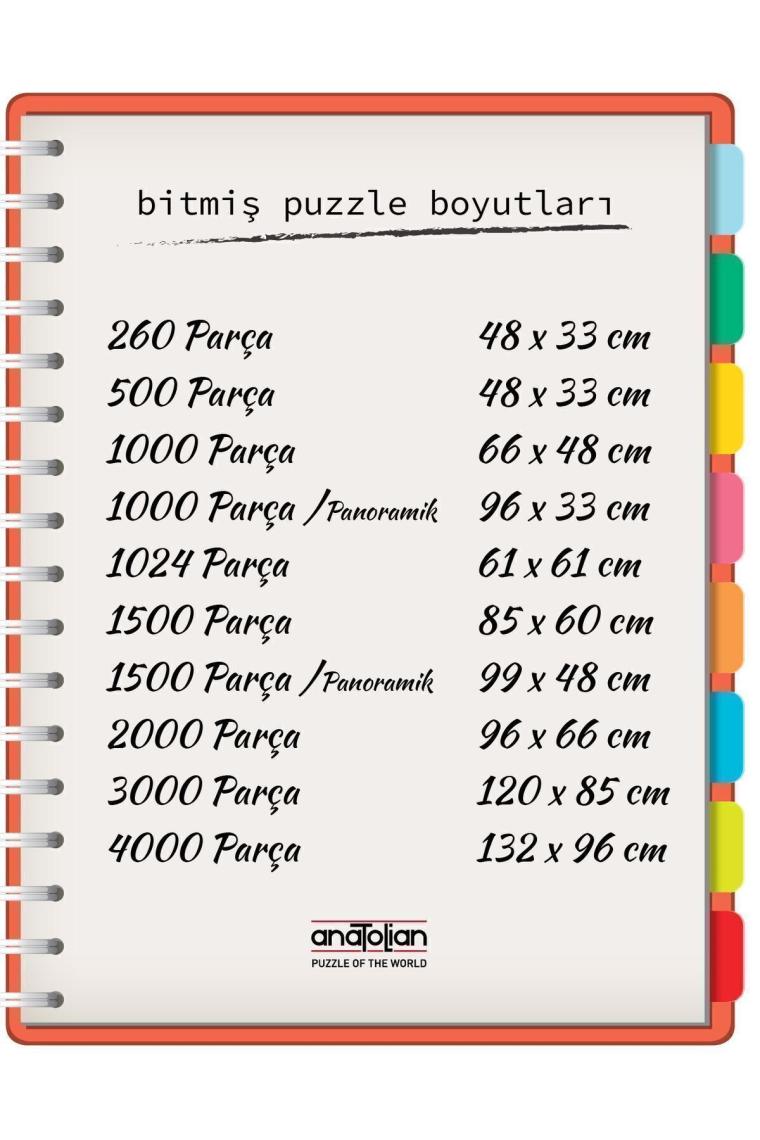 1000 Parçalık Puzzle / Aile Toplantısı - Kod:1030