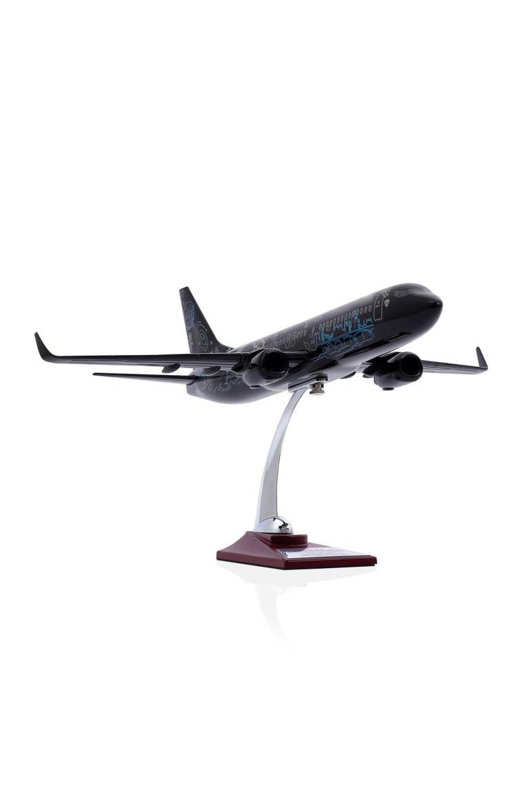 - Maket Uçak - Boeing 737-800 1/100 - Siyah Desenli Özel Tasarım Model Uçak
