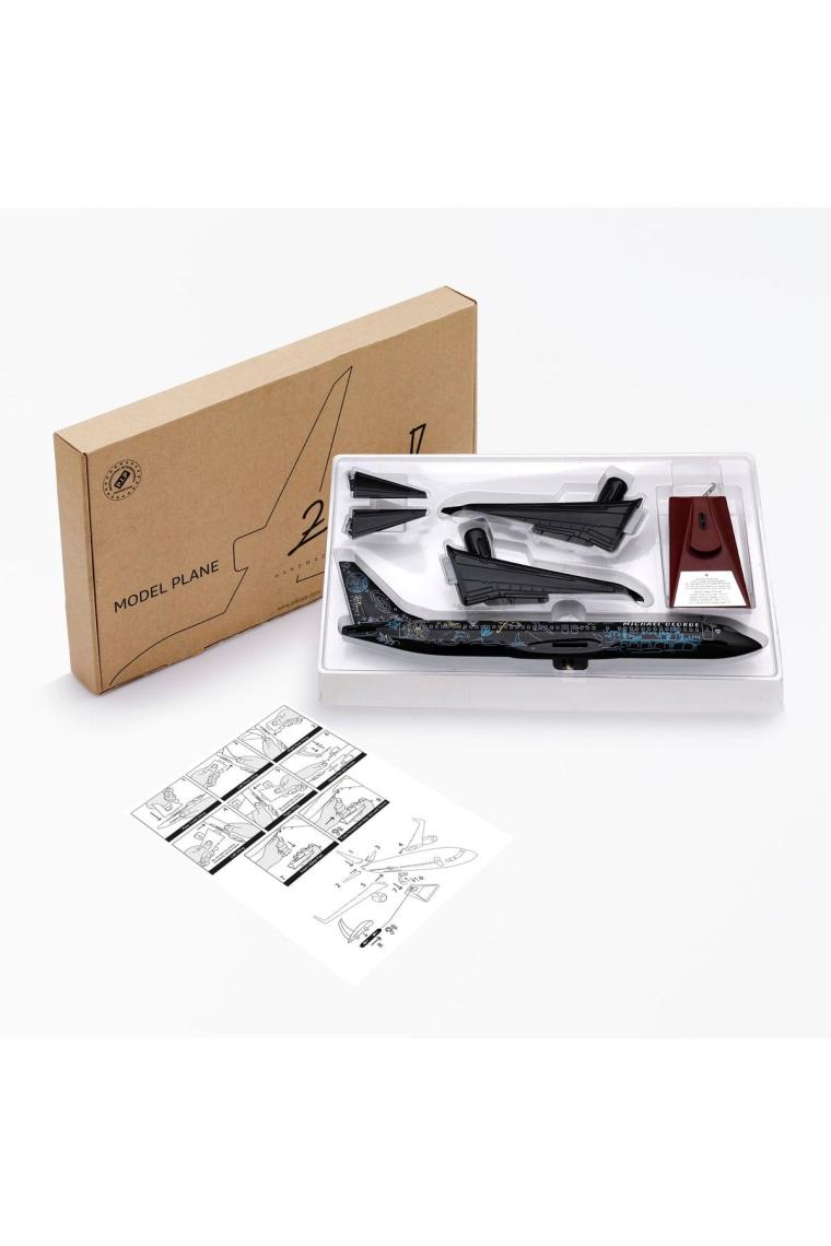 - Maket Uçak - Boeing 737-800 1/100 - Siyah Desenli Özel Tasarım Model Uçak