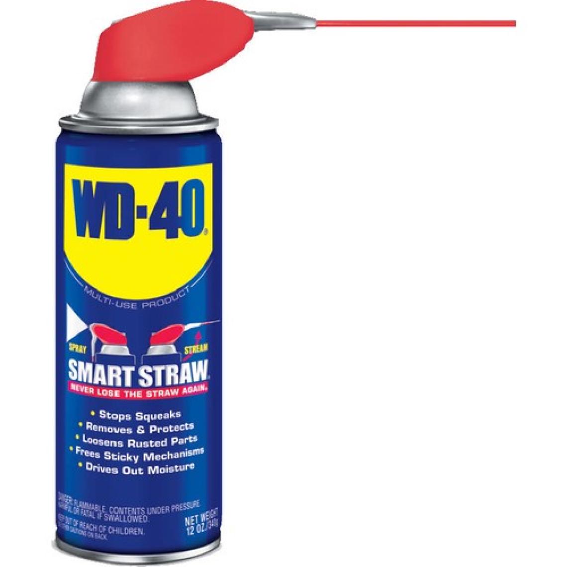 WD-40 Yağlayıcı ve Pas Sökücü 350 ml