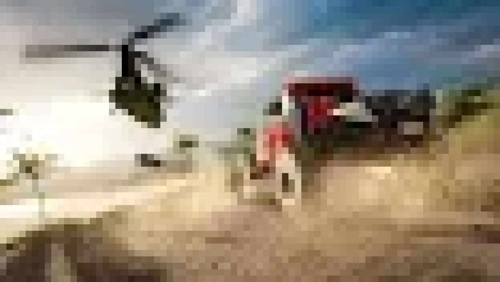Forza Horizon 3 Xbox One Oyun
