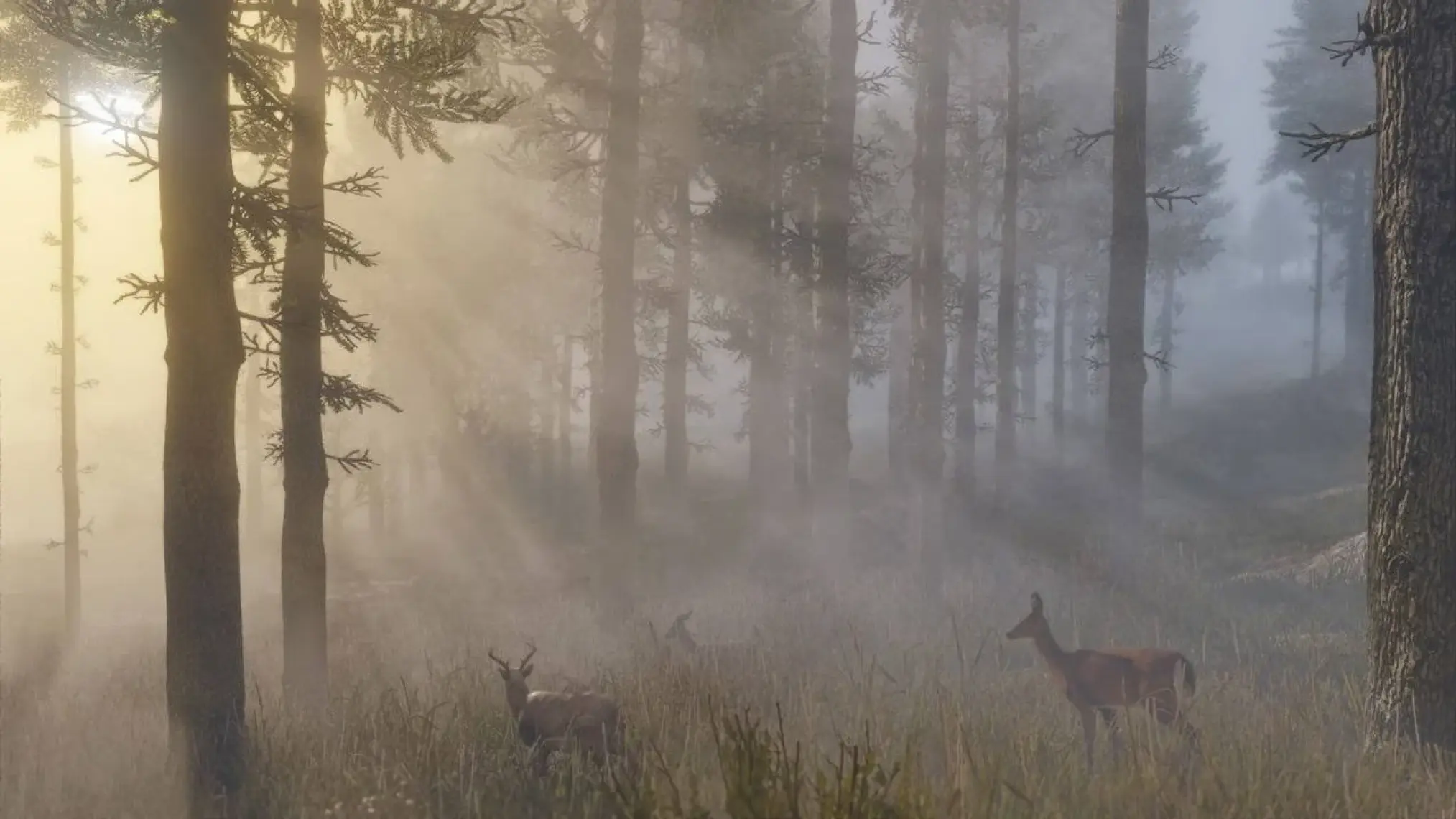 Red Dead Redemption II Xbox One Oyun