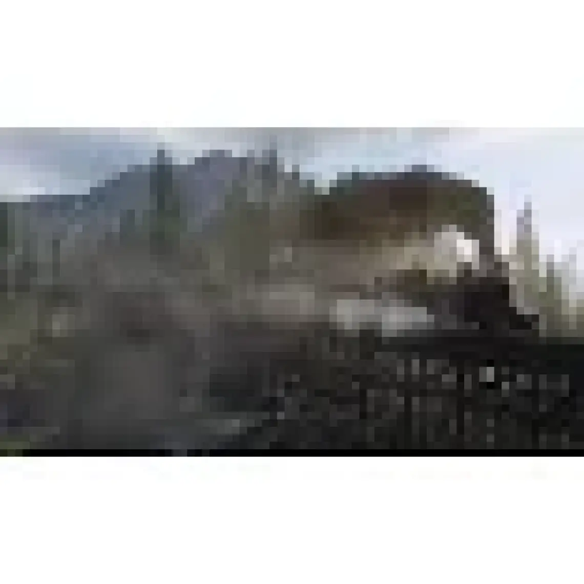 Red Dead Redemption II Xbox One Oyun