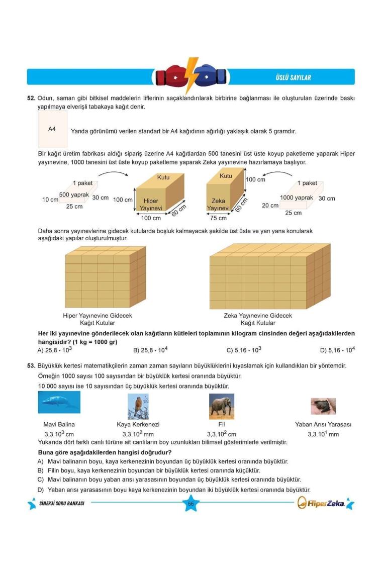 8. Sınıf Matematik Sinerji Soru Bankası