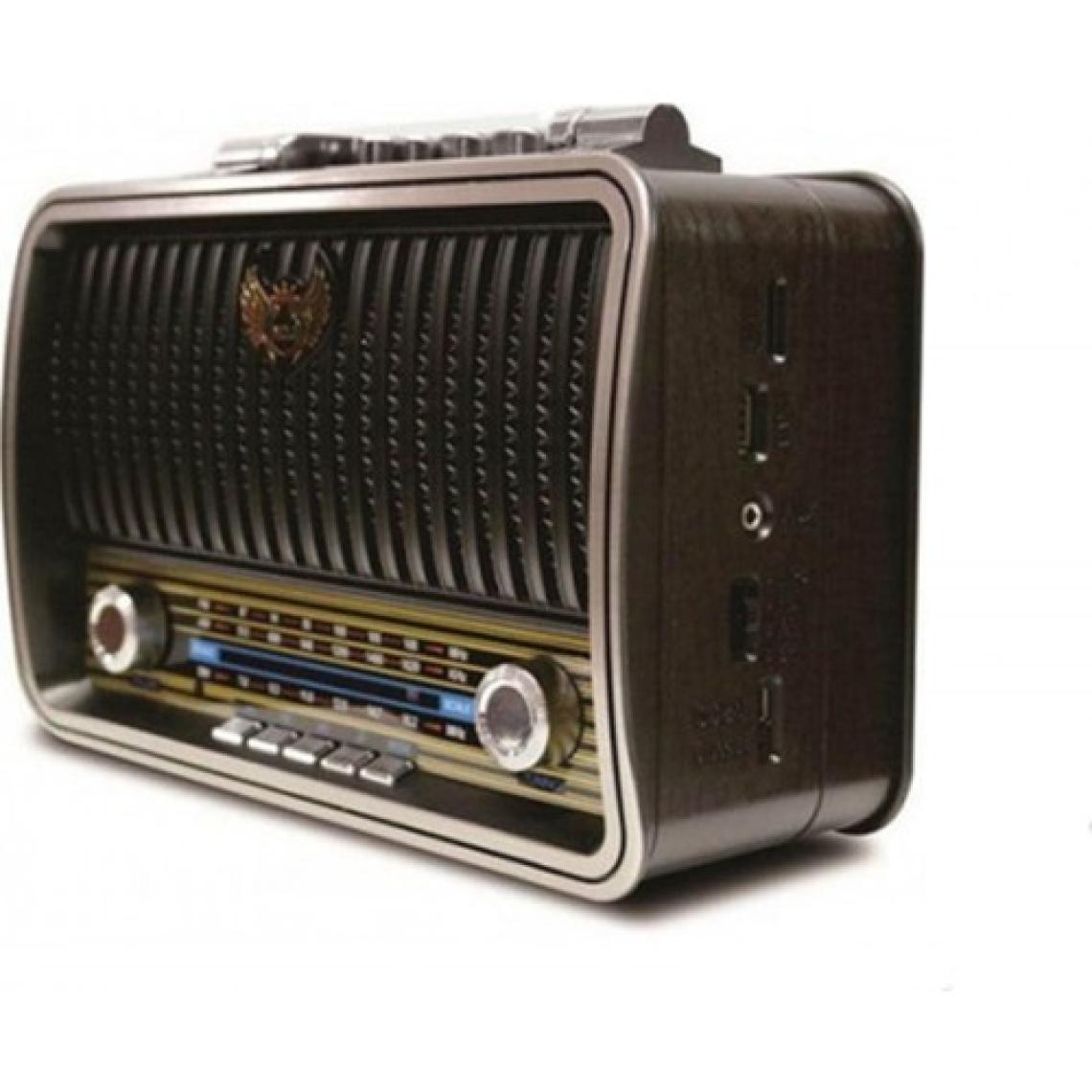 Polygold PG-4401 Nostaljik Radyo