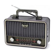 Polygold PG-4401 Nostaljik Radyo