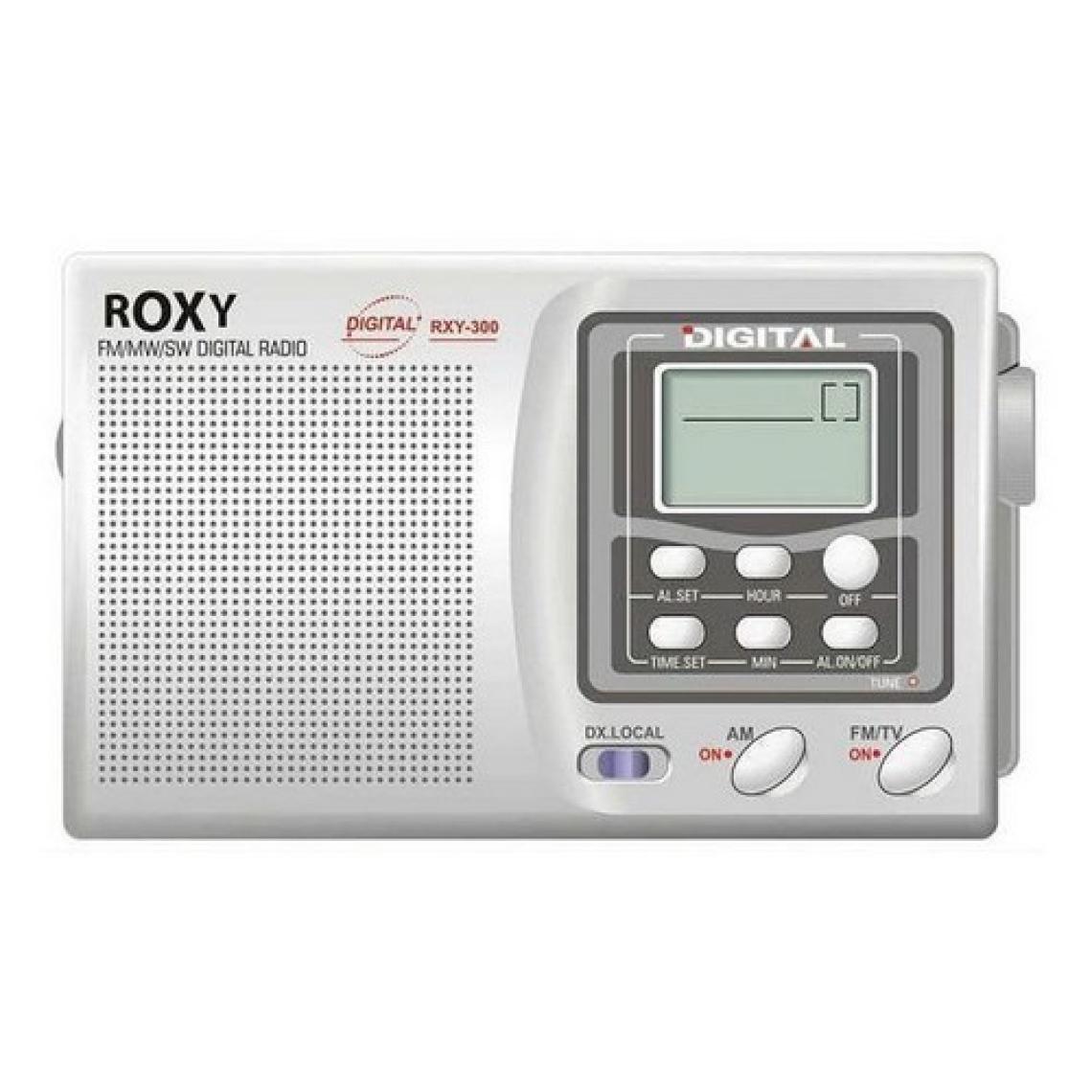 Roxy RXY-300 Dijital Göstergeli Alarmlı FM Radyo