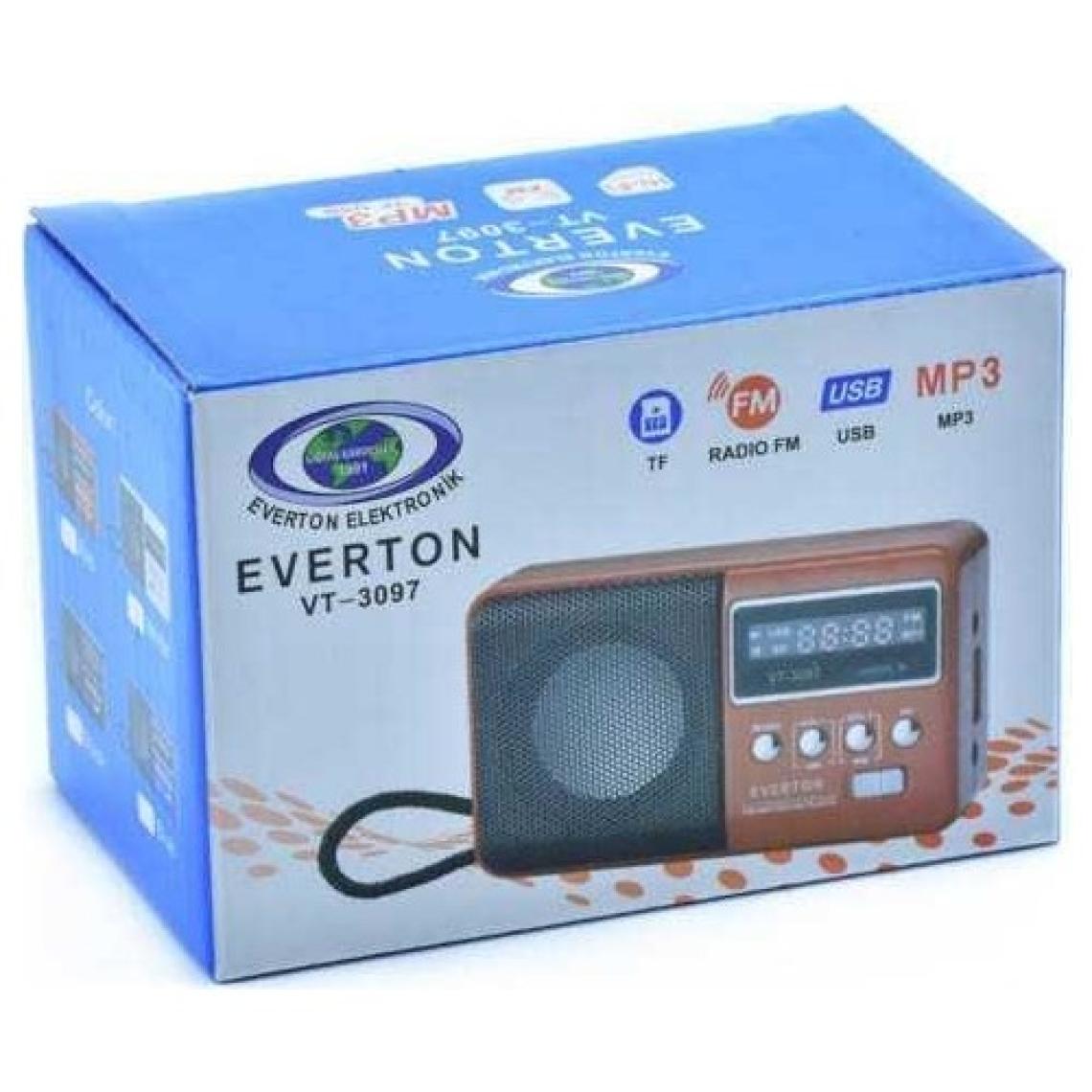 Everton Vt-3097 Radyo Siyah