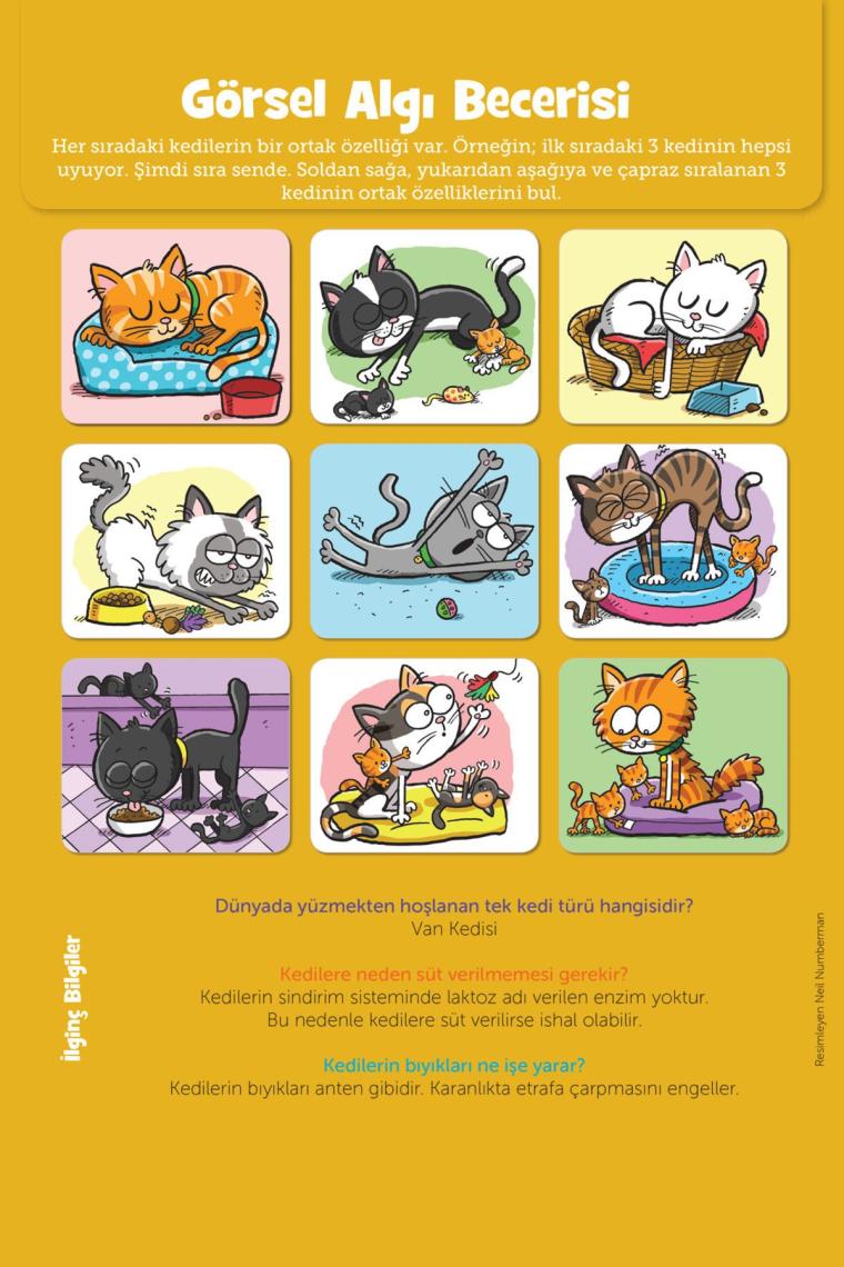 Jumbo Kitap Dikkat Geliştirici Aktiviteler